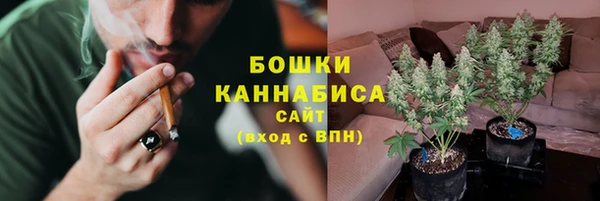 дживик Гусиноозёрск