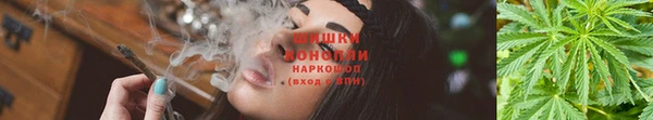 дживик Гусиноозёрск