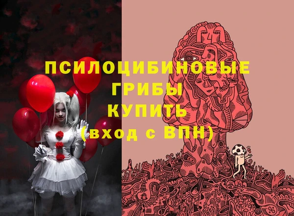 скорость Гусев