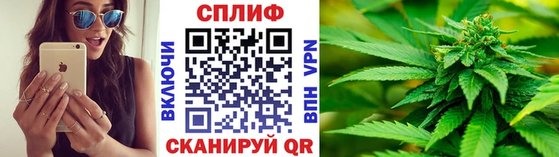 MEGA маркетплейс  Каменногорск  Канабис Amnesia 